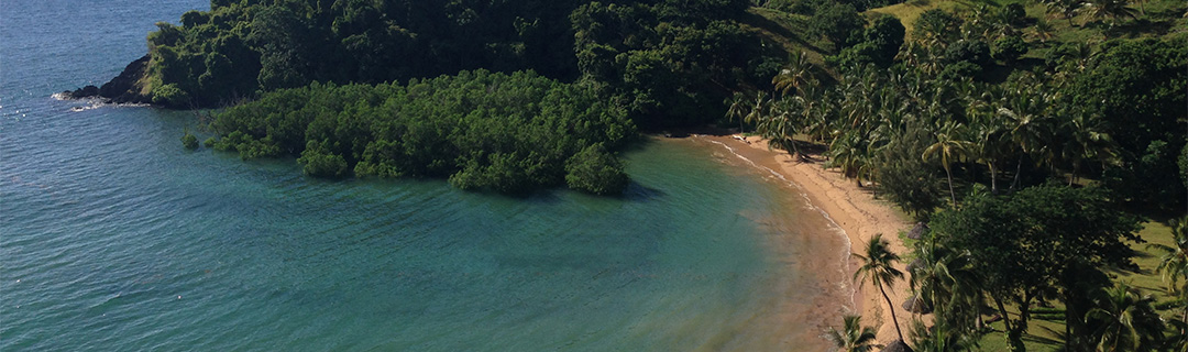 Avis sur l'Océan Beach